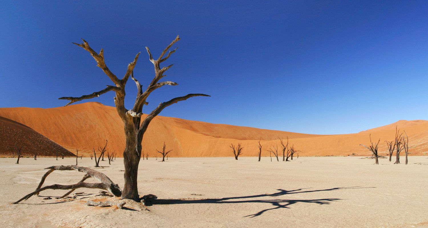 Actualités EN